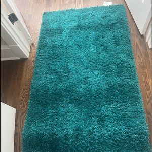Pier 1 Shag Rugs (two rugs included)